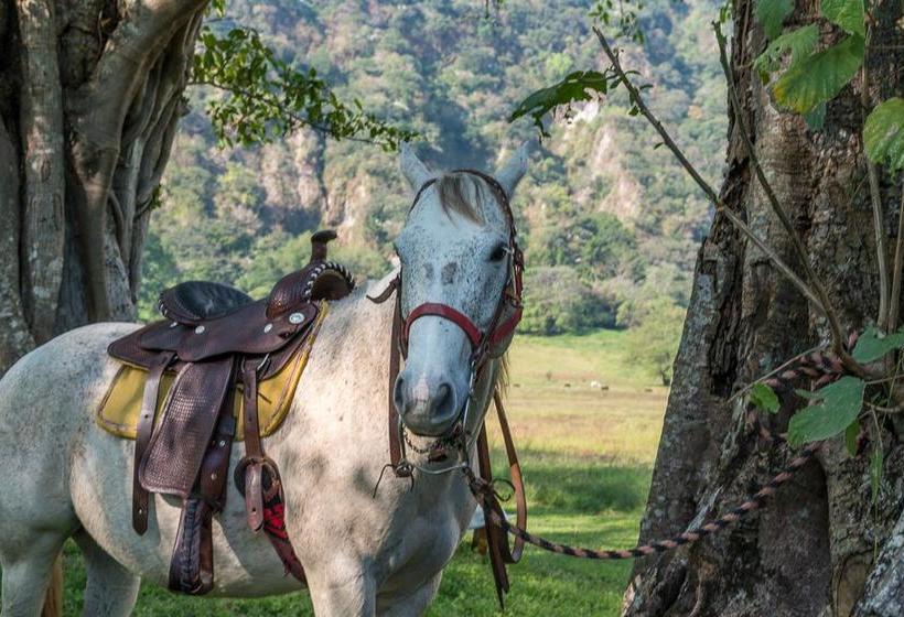 هتل Hacienda De San Antonio