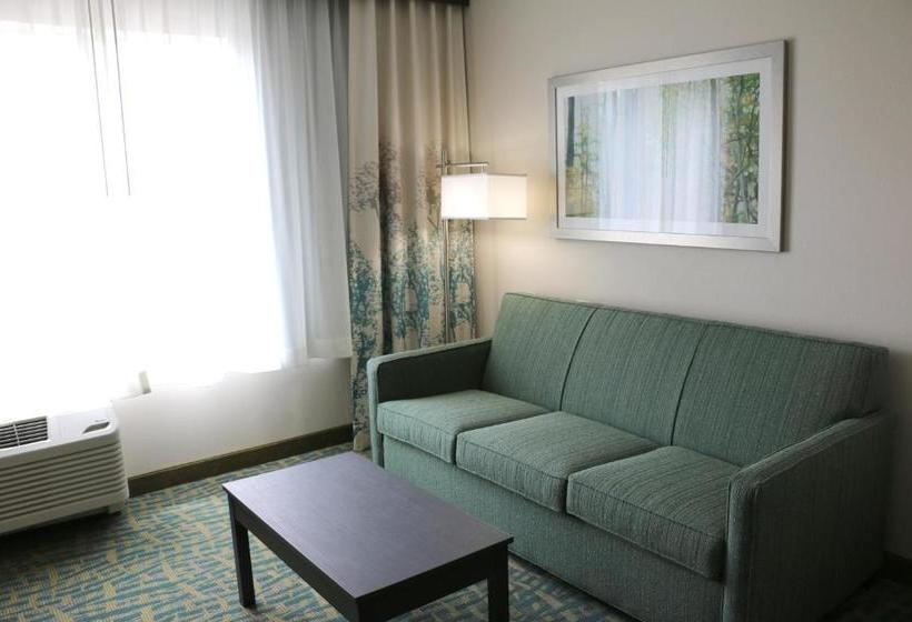 בית מלון כפרי Holiday Inn Express & Suites   Hendersonville Se   Flat Rock, An Ihg