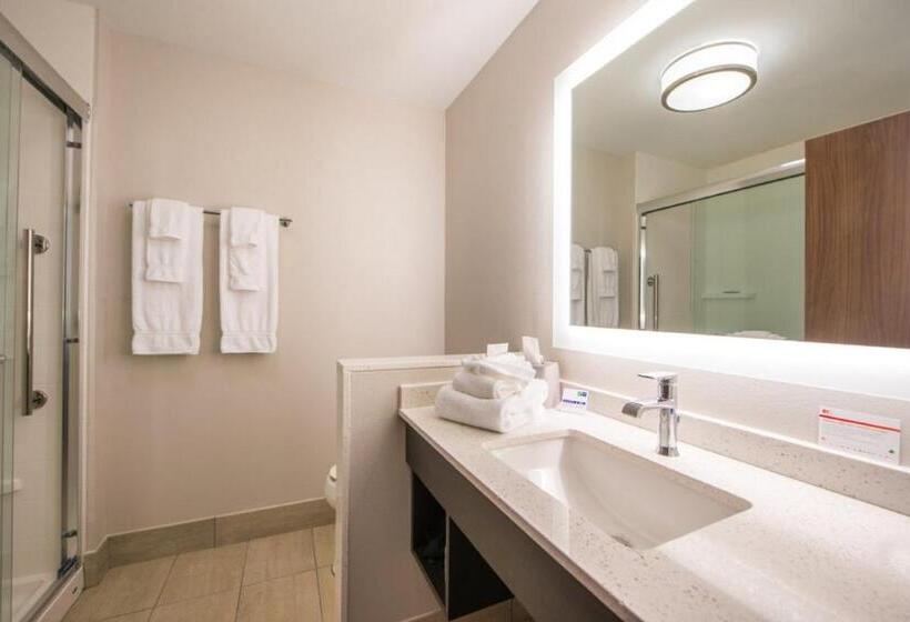 Отель Holiday Inn Express & Suites   Tampa North   Wesley Chapel, An Ihg