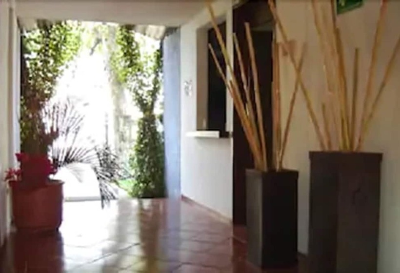 Fotos del hotel Los Girasoles:  21