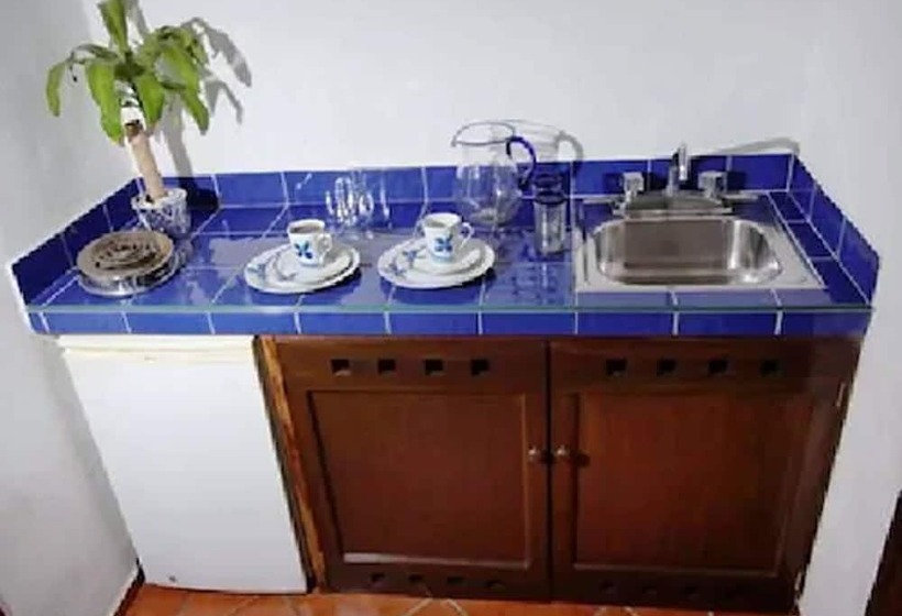 Fotos del hotel Los Girasoles:  17