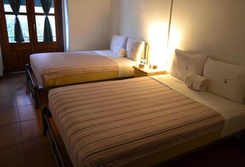 هتل Mexico City Hostel