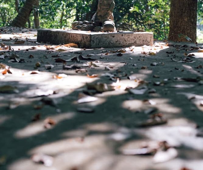 هتل Swaswara Gokarna   A Cgh Earth Experience