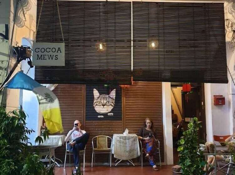 Cocoa Mews Cafe & Homestay   Hostel