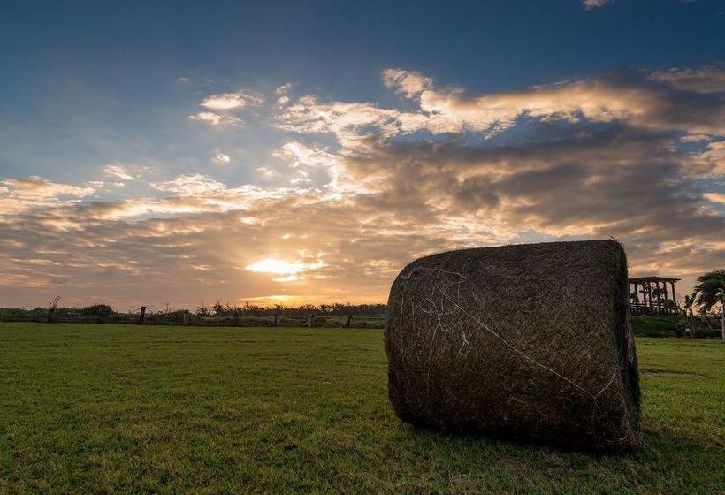 تختخواب و صبحانه Kenting Summerland Garden Resort