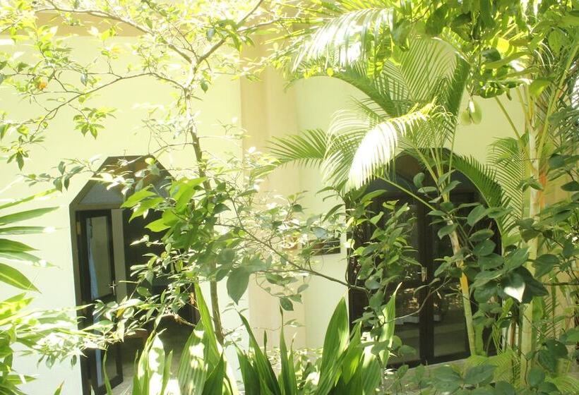 Dionis Villa