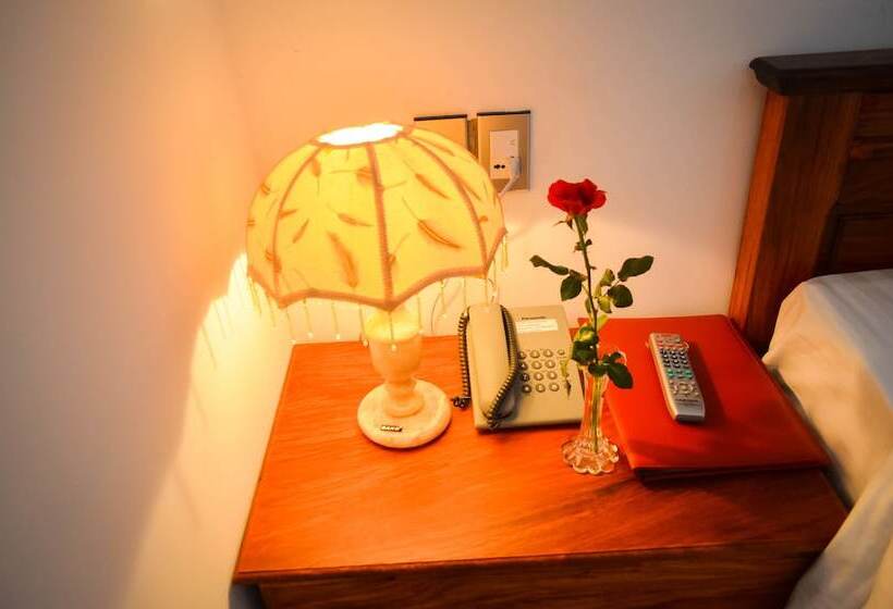 Fotos del hotel San San Hotel Da Nang:  57