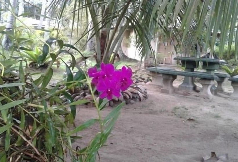 پانسیون Club Mirissa