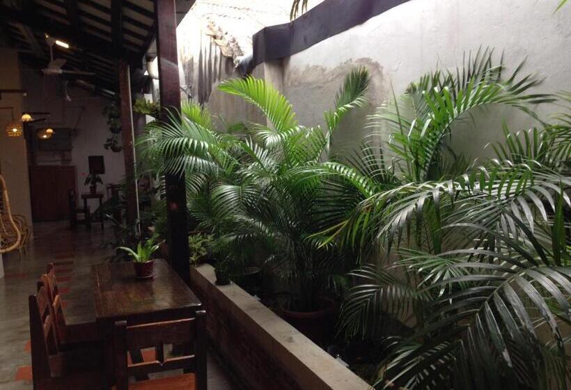 פנסיון Palm Mansion Boutique Suites