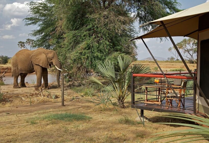 هتل Ashnil Samburu Camp
