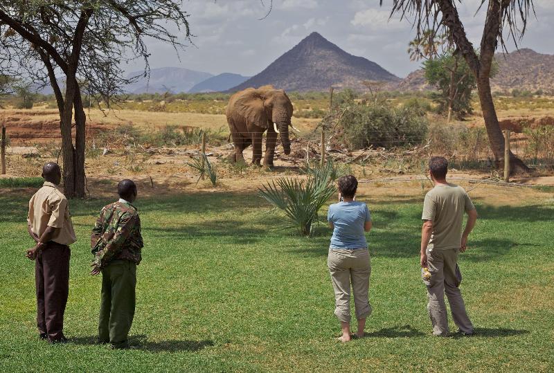 هتل Ashnil Samburu Camp