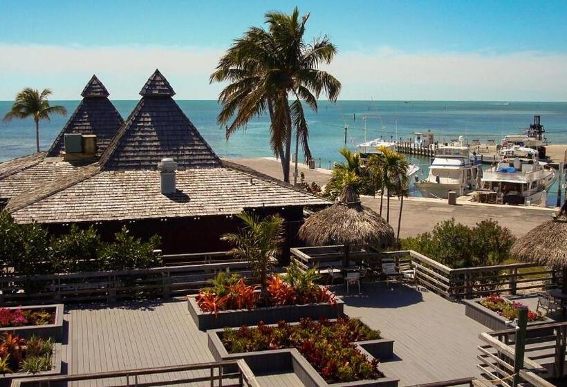 Отель Caloosa Cove Resort