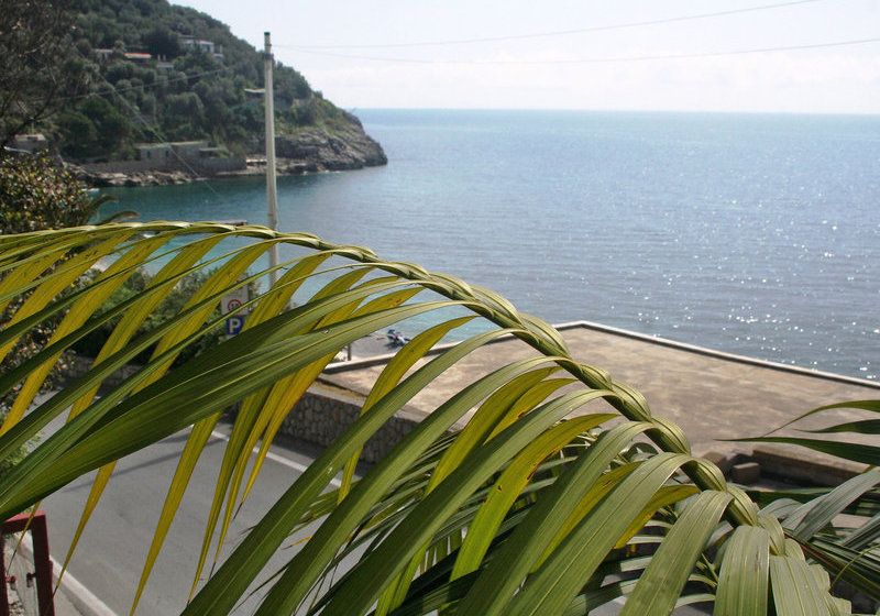 فندق Cantone Bay
