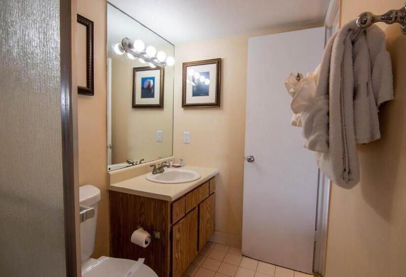 فندق Palm Beach Waterfront Suites