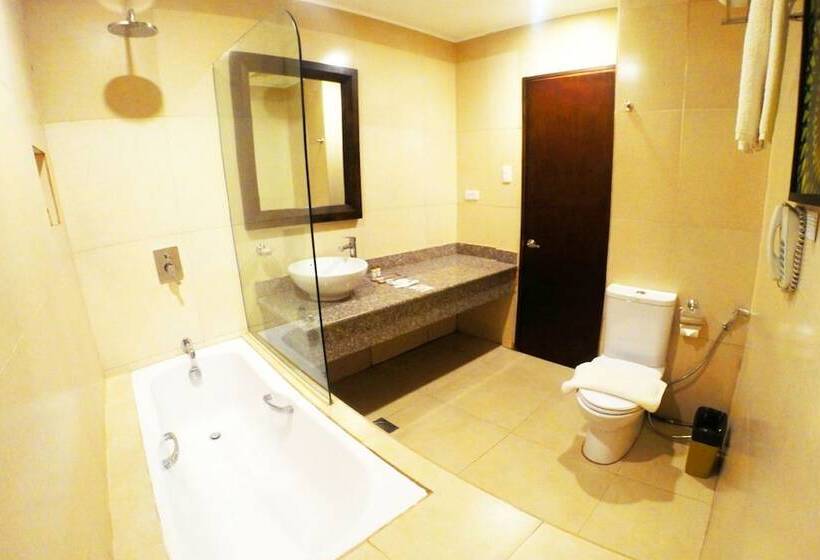 Fotos del hotel Palm Grass:  21