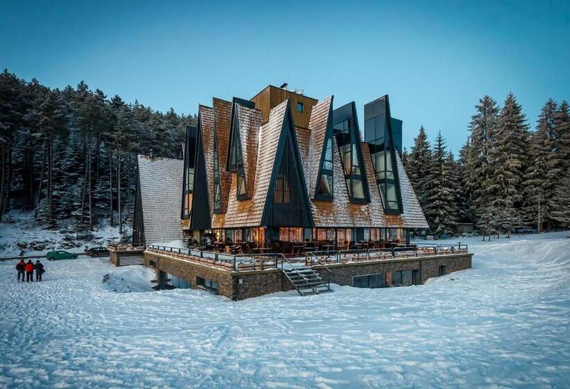 Fotos del hotel Pino Nature:  38