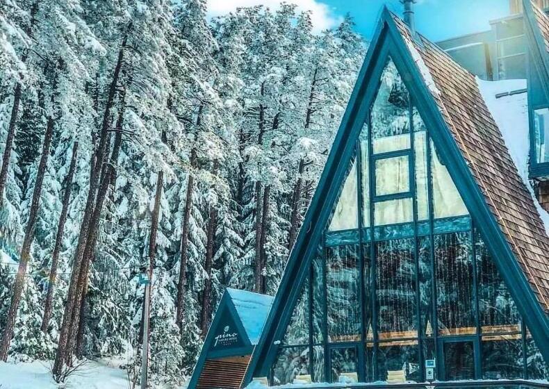 Fotos del hotel Pino Nature:  44