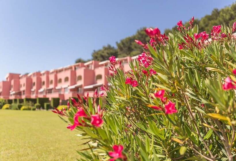 ホテル Résidence Pierre & Vacances Les Jardins De La Côte D Azur