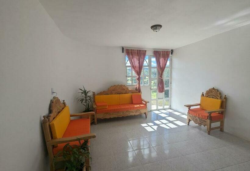 فندق صغير Hostal Aztec