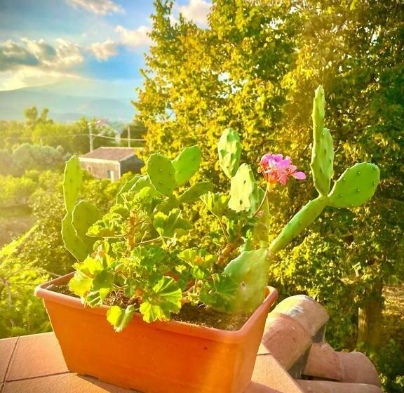 تختخواب و صبحانه Linden House Etna