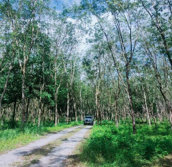 مبيت وإفطار Doisky Phangnga
