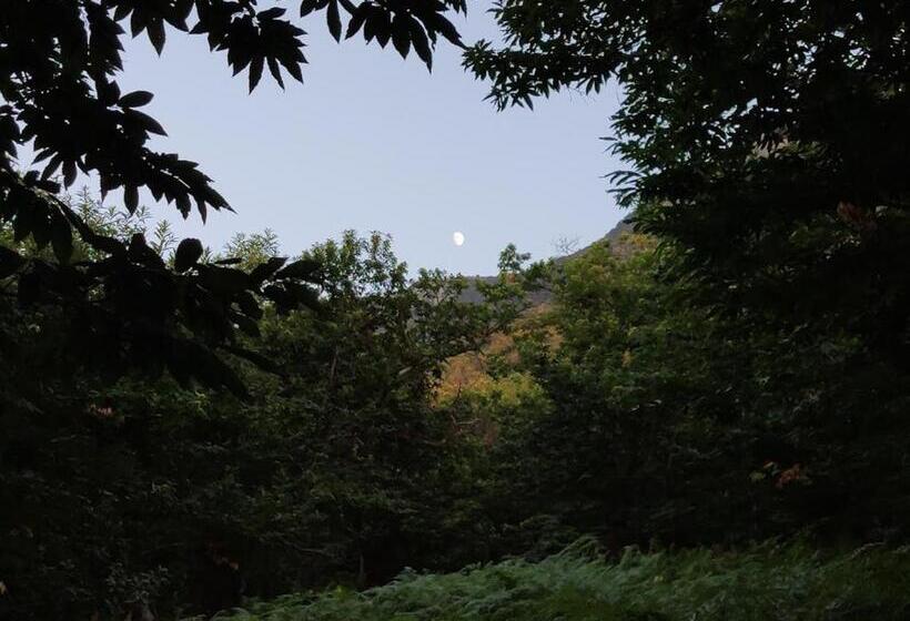 ホテル Residenza Rurale L Antico Castagneto