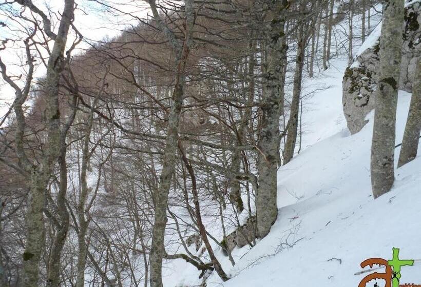 ホテル Residenza Rurale L Antico Castagneto