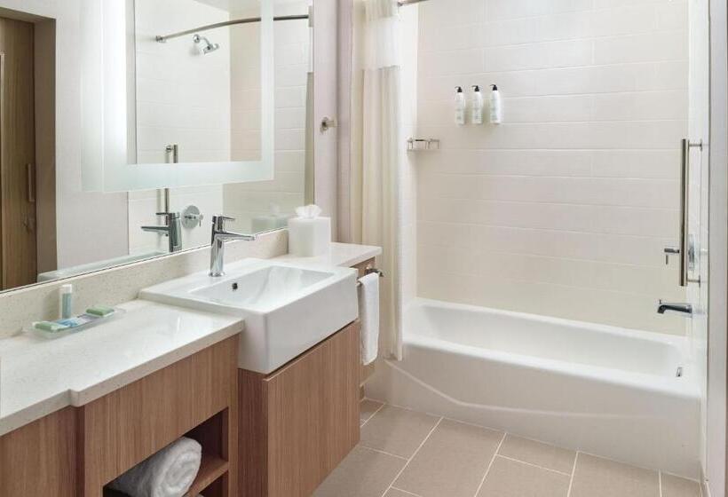 בית מלון כפרי Springhill Suites By Marriott Arlington Tn