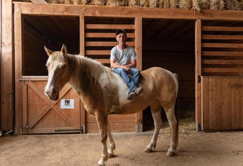 住宿加早餐  Chambres D Hôtes Coeur De Bastié Et Ranch Du Lévézou