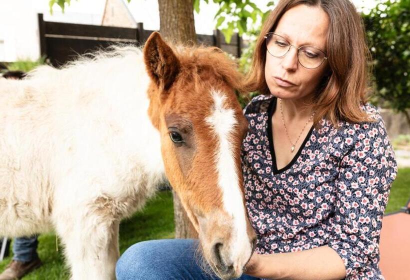 住宿加早餐  Chambres D Hôtes Coeur De Bastié Et Ranch Du Lévézou