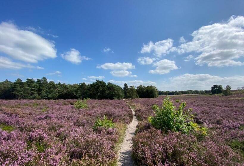 ベッドアンドブレックファースト La Vita Veluwe