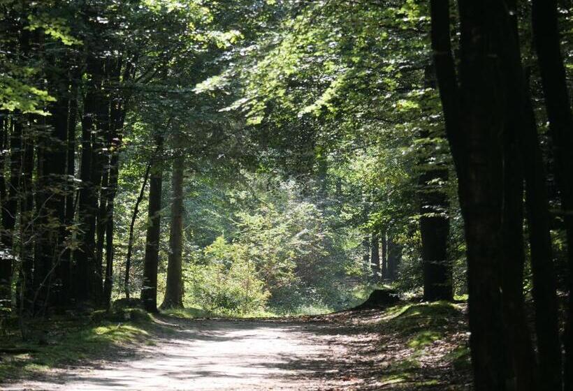 ベッドアンドブレックファースト La Vita Veluwe