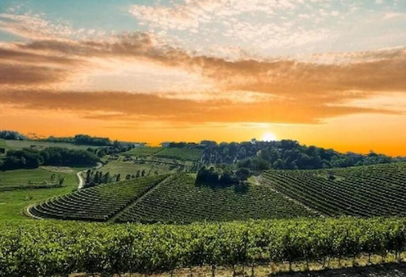 Pensjonat Room In Guest Room   La Culla Tra I Vigneti   Stanza