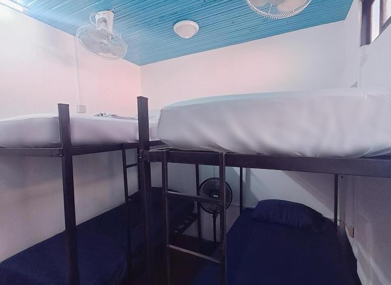 هاستل Hostal Victoria