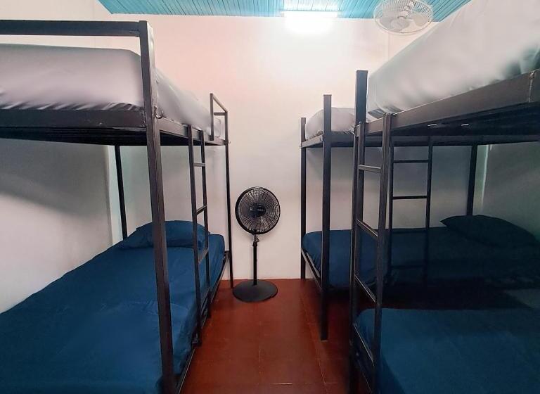 هاستل Hostal Victoria