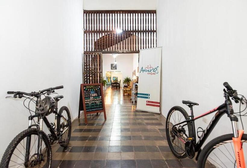 هاستل Hostal Victoria