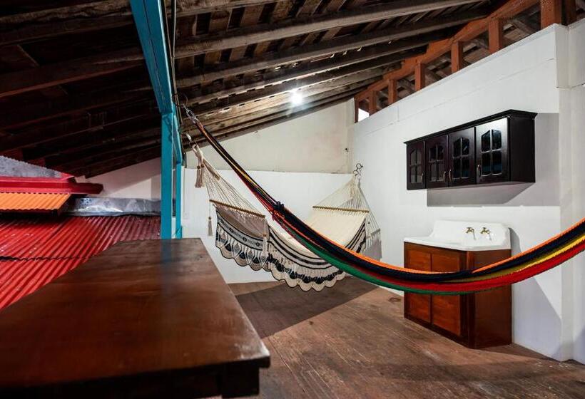 هاستل Hostal Victoria