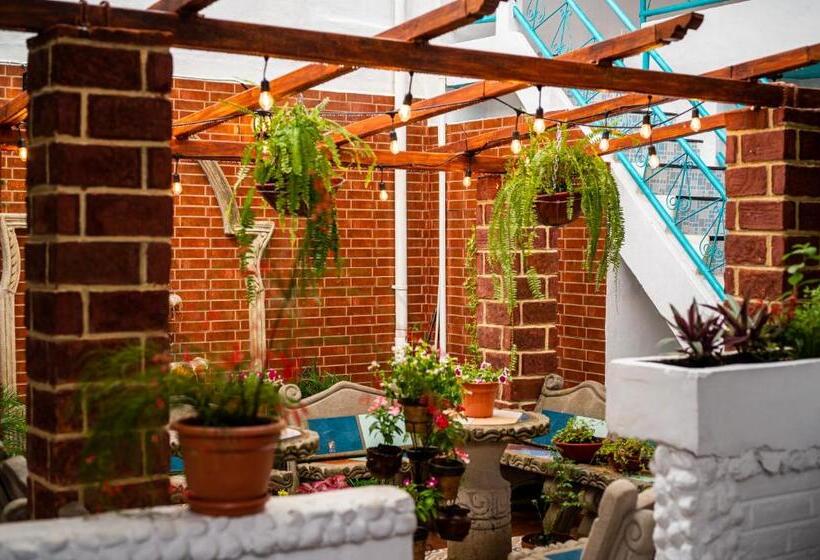 هاستل Hostal Victoria