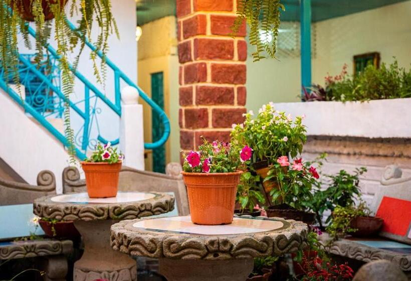 هاستل Hostal Victoria