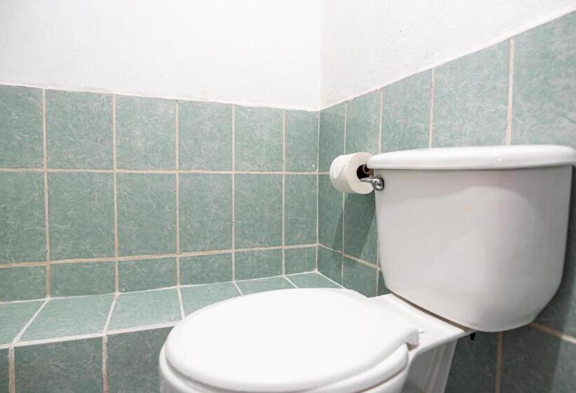 هاستل Hostal Victoria