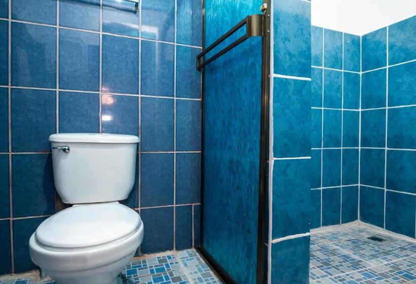 هاستل Hostal Victoria