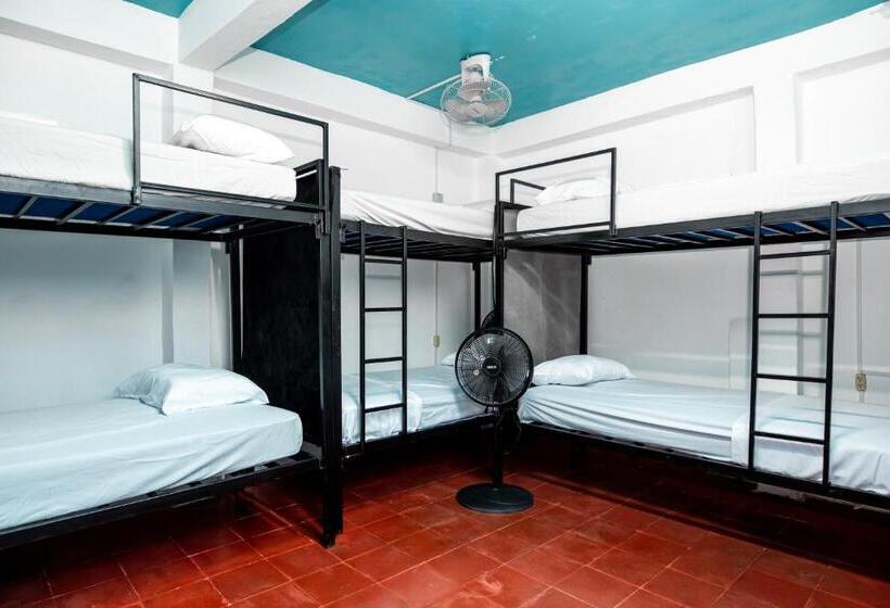 هاستل Hostal Victoria