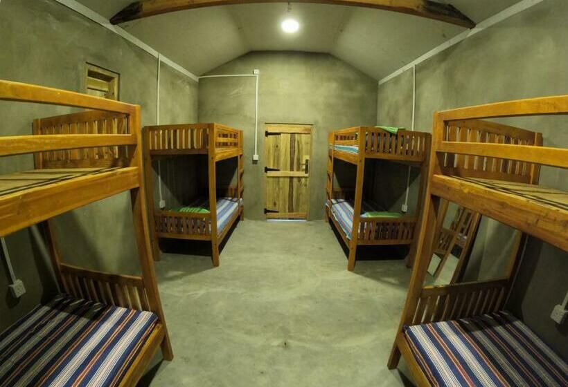 Hangten S Surf Skate Hostel