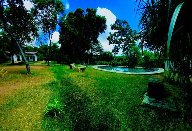 هتل The Royal Garden