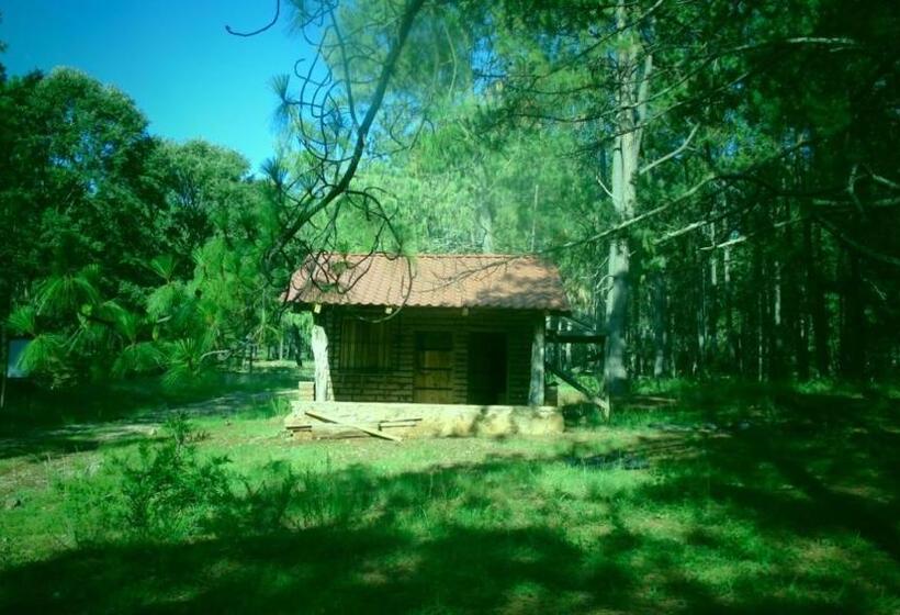 Отель Campamento Plan De Los álamos