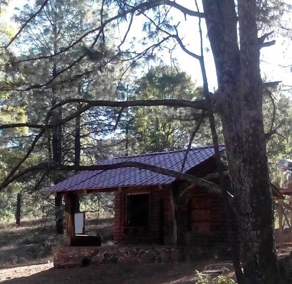 Отель Campamento Plan De Los álamos