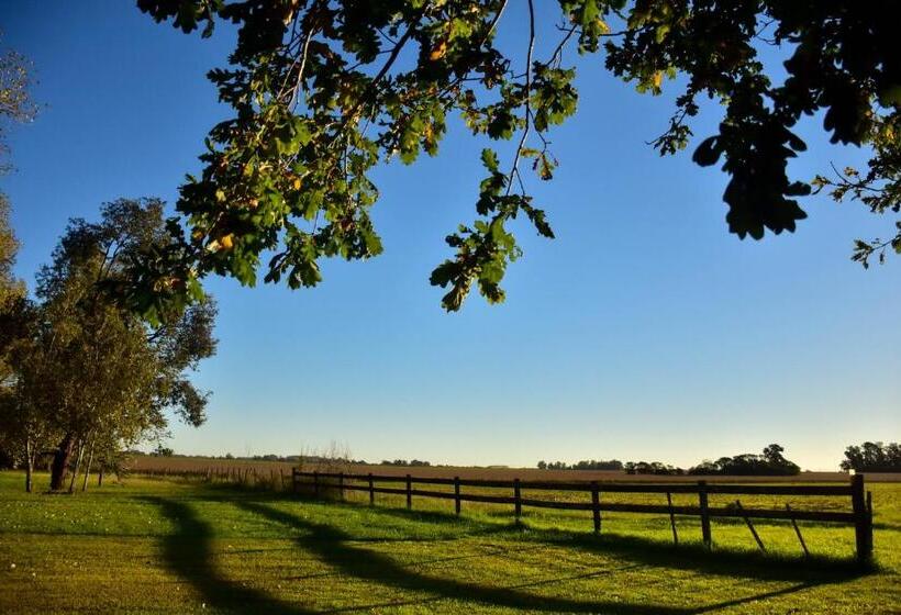 Отель Los Vagones De Areco