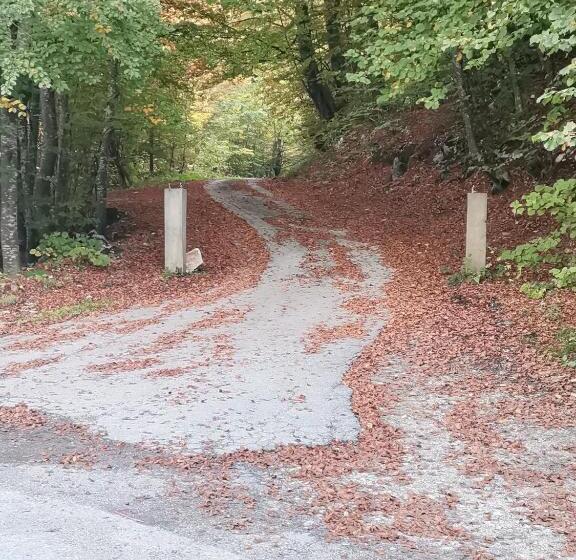 پانسیون Vikendica Andjelka 1 Zlatibor