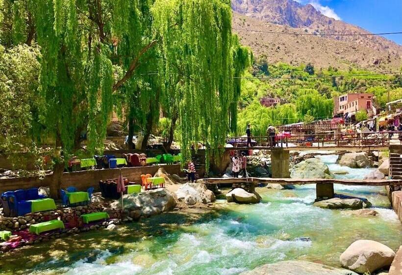 ریاض Dar Baddi
