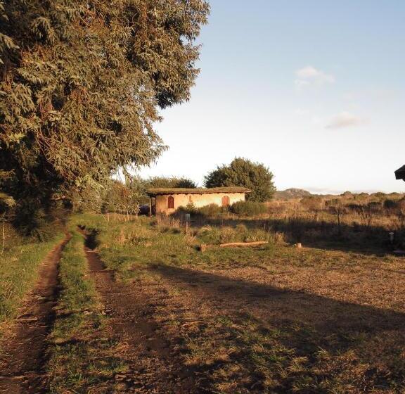 هاستل Alojamiento Ecológico Kurache